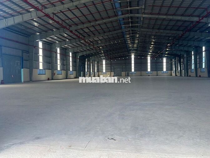 Cho thuê kho nằm tại Tây Ninh ( kho mới )