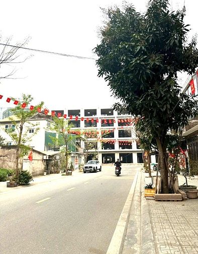 ❇️BÁN ĐẤT LÝ THÁNH TÔNG, TRÂU QUỲ, GIA LÂM 85M2, MT 4M, 4 Ô TÔ TRÁNH