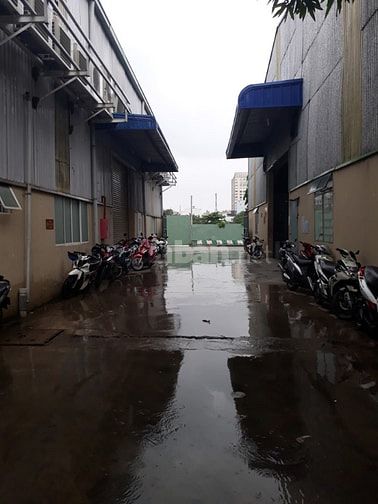 CHO THUÊ NHÀ KHO 260M2 ĐỘC LẬP CỔNG RIÊNG, SÂN KHO RỘNG XE CONT ĐẬU ĐC