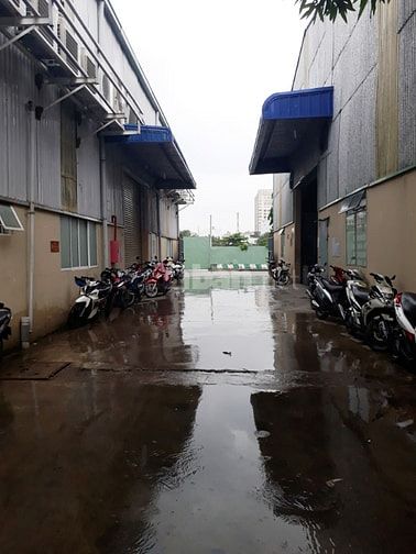 CHO THUÊ NHÀ KHO 260M2 ĐỘC LẬP CỔNG RIÊNG, SÂN KHO RỘNG XE CONT ĐẬU ĐC