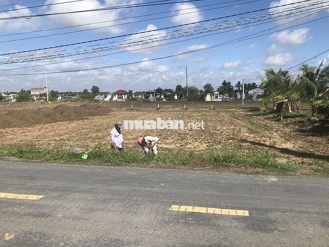 ĐẤT MẶT TIỀN ĐƯỜNG BỜ MỒI-CẦN ĐƯỚC, LONG AN