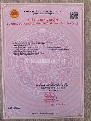 🚨 360 TRIỆU SỞ HỮU NGAY ĐẤT FULL THỔ CƯ – GẦN TT DMC, QUÁ HIẾM! 🚨