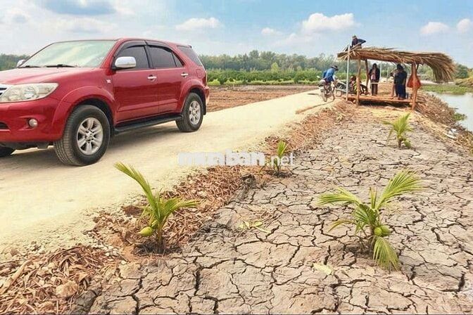 Hàng Ngộp, 1000m² đất vườn chuyển thổ View Kênh chốt 699tr