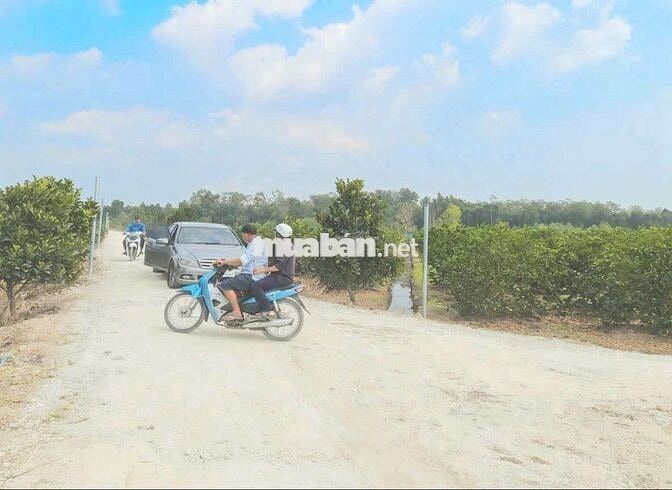 Hàng Ngộp, 1000m² đất vườn chuyển thổ View Kênh chốt 699tr