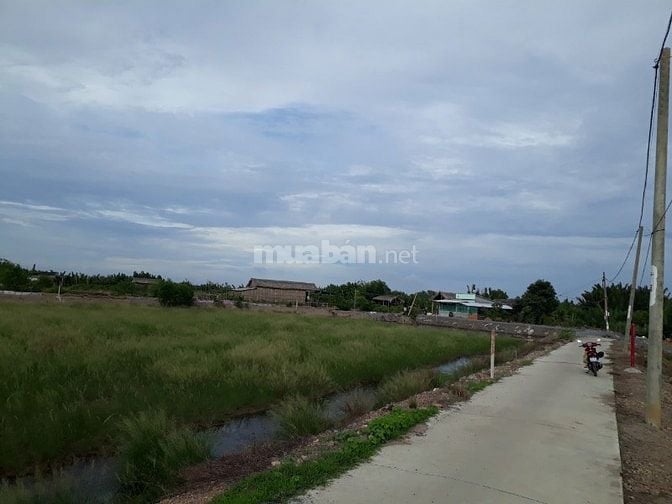 Chính chủ, cần bán miếng đất Bình Khánh, Cần Giờ