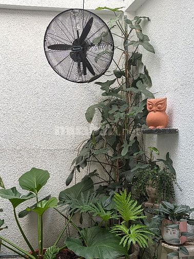 VIỆC LÀM QUẬN BÌNH THẠNH - FULLTIME VÀ PARTIME. THU NHẬP TỐT 7TR - 9TR