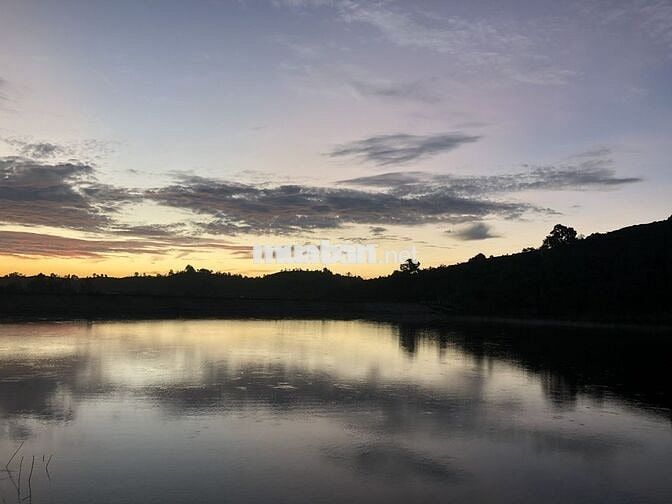 Đất hồ view tuyệt đẹp cho homestay, farmstay và nhà nghỉ dưỡng