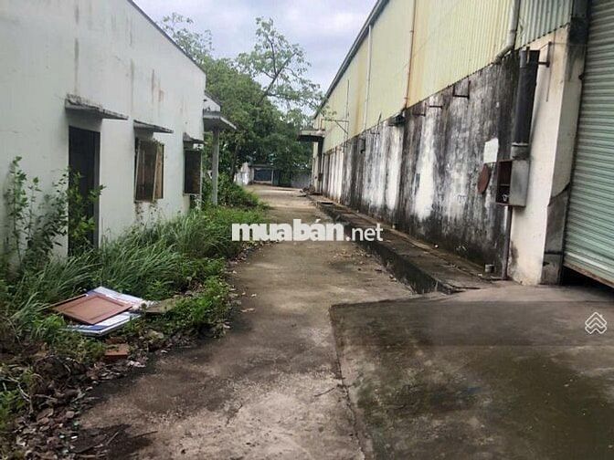 Cho thuê kho xưởng 1000m2, văn phòng 500m2, MT Quốc lộ 1A, Bến Lức