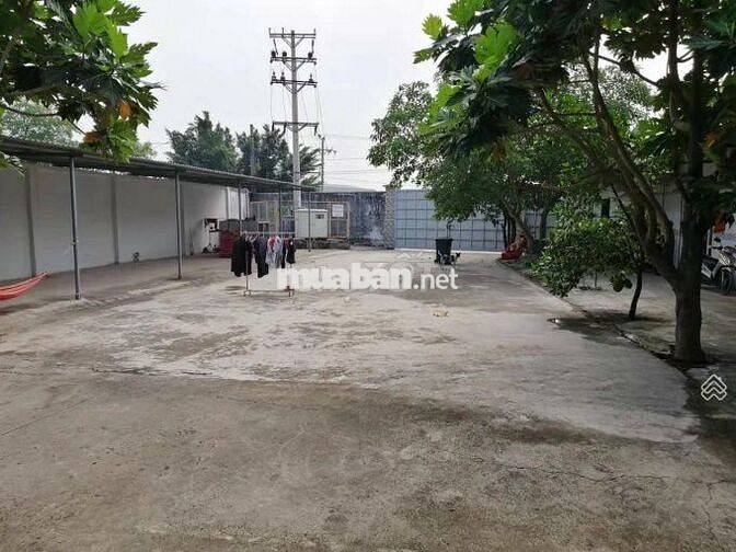 Cho thuê kho xưởng 1.800m2 Nguyễn Hữu Trí, Bến Lức, Long An