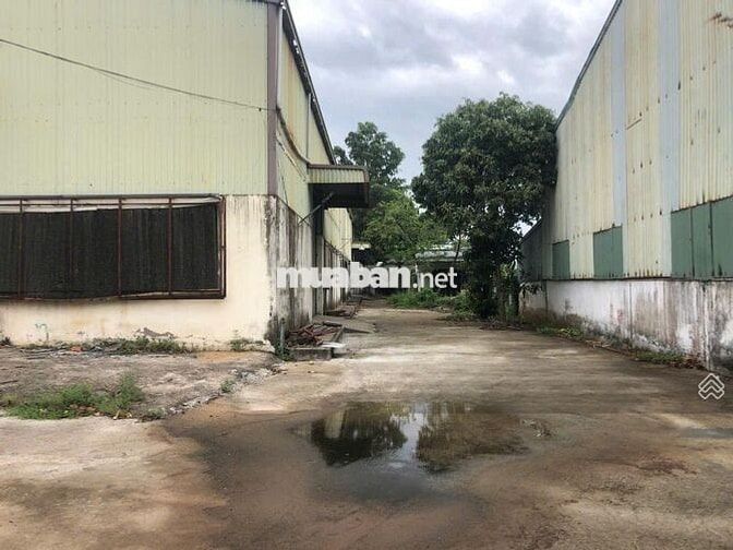 Cho thuê kho xưởng 1000m2, văn phòng 500m2, MT Quốc lộ 1A, Bến Lức