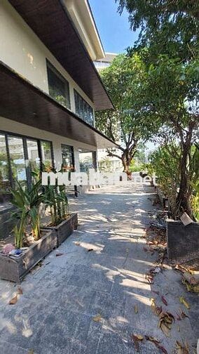 Cho thuê biệt thự lô góc hình túi vàng phong thủy khu vip Q7