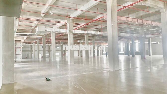  kho xưởng khu công nghiêp long hậu ,huyện cần giuộc , Tỉnh Tây Ninh 