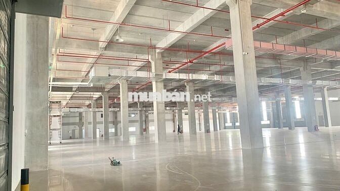  kho xưởng khu công nghiêp long hậu ,huyện cần giuộc , Tỉnh Tây Ninh 