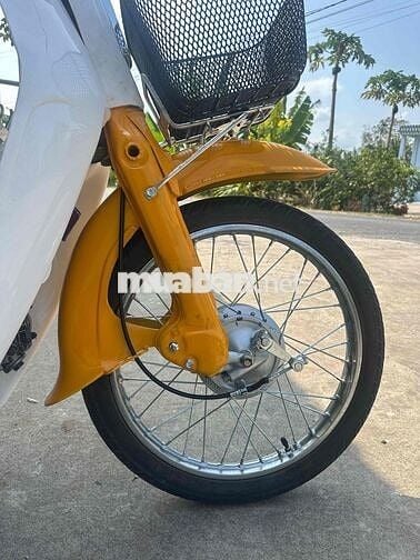 Honda Cub 1989 Vàng trắng