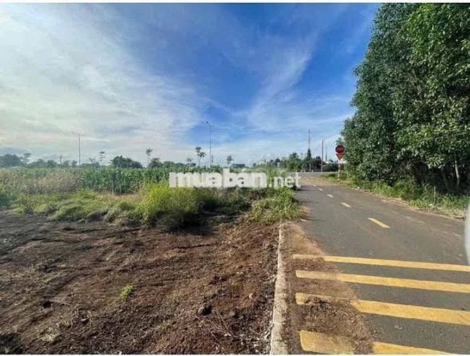 VỢ CHỒNG LY HÔN NÊN CẦN BÁN GẤP LÔ ĐẤT THỔ CƯ 150m2 