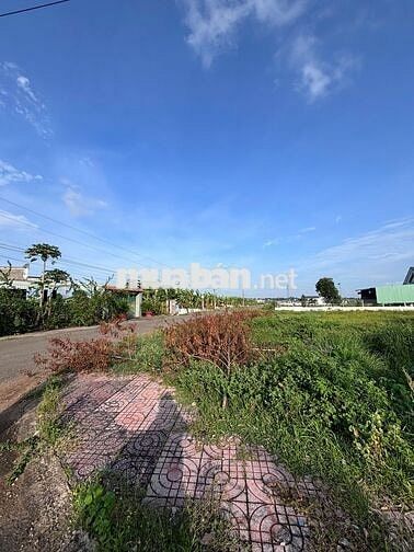 🏡 CHỦ NGỘP BÁN CẮT LỖ LÔ ĐẤT HÒA LONG – SỔ RIÊNG, SẴN THỔ CƯ 