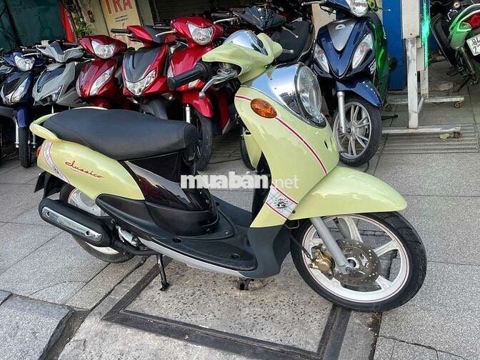 Yamaha Alasico 2010 Vàng nhạt Đã sử dụng