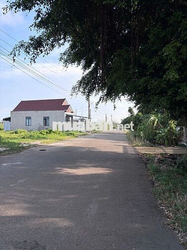 🏡 CHỦ NGỘP BÁN CẮT LỖ LÔ ĐẤT HÒA LONG – SỔ RIÊNG, SẴN THỔ CƯ 