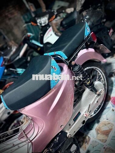 Cub màu Hồng Posrcher kiểng đẹp