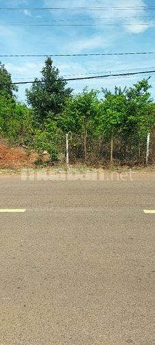  500m2 đất nền mặt tiền đường Bình Giã Quảng Thành