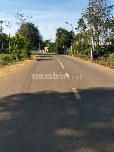  500m2 đất nền mặt tiền đường Bình Giã Quảng Thành
