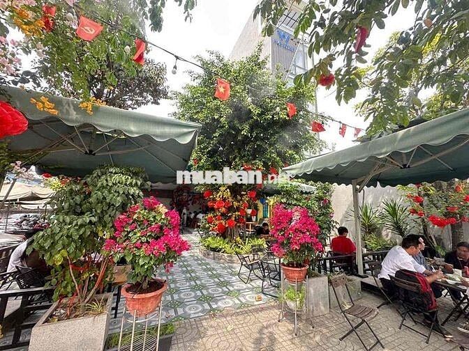 Toà Nhà và Quán Cf Có Dòng Tiền Mt Ngang 15m. thổ cư