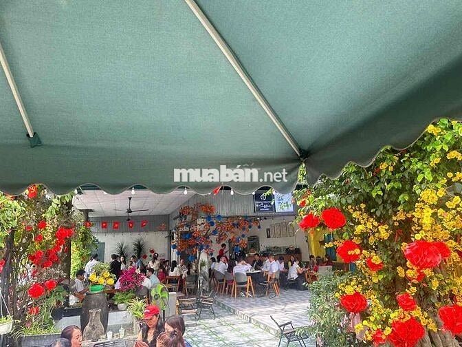 Toà Nhà và Quán Cf Có Dòng Tiền Mt Ngang 15m. thổ cư