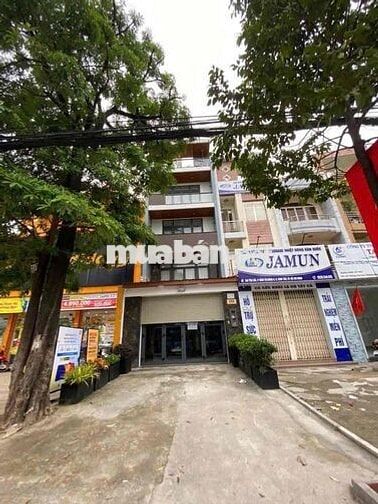 Cho thuê nhà Full nội thất MT đường Tên Lửa DT 5 x 20m, 4 tấm, giá 55