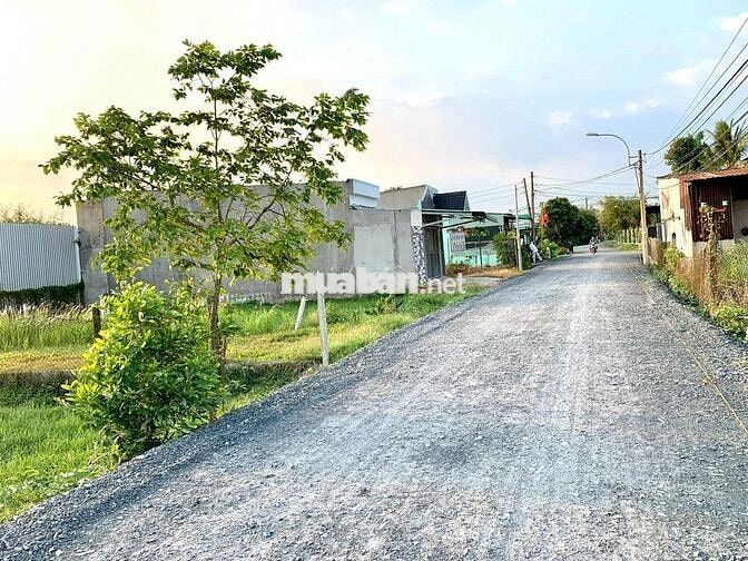 Chính chủ bán 196,6m2 đất Kp Suối Sâu, An Tịnh, Trảng Bàng. SHR 550tr