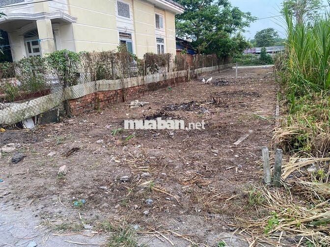 Đất ngộp bán gấp 172,7m2 gần KCN Trảng Bàng có thổ sẵn, SHR. 550tr