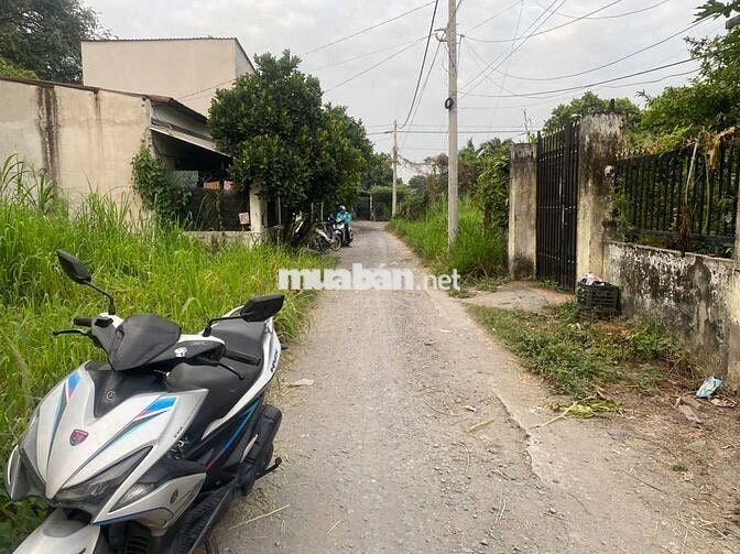 Đất ngộp bán gấp 172,7m2 gần KCN Trảng Bàng có thổ sẵn, SHR. 550tr