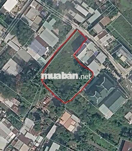 Bán đất Hóc Môn giá tốt, sổ riêng, xây dựng tự do