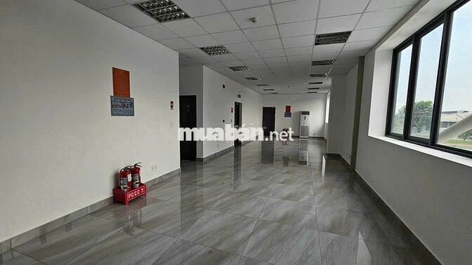 CHO THUÊ KHO XƯỞNG KCN TÂN ĐỨC – ĐỨC HÒA, LONG AN