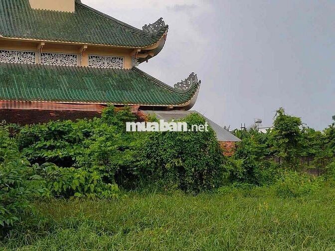 Bán đất Hóc Môn giá tốt, sổ riêng, xây dựng tự do