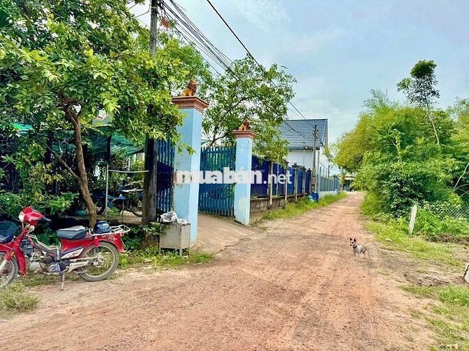 Chính Chủ bán 194m2 full thổ,SHR ngay chợ Cầu Xe, Trảng Bàng GIÁ 690tr
