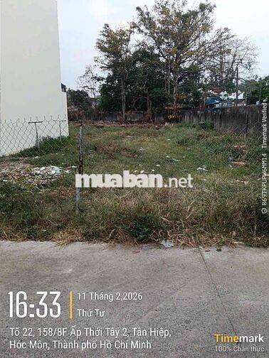 Bán đất Hóc Môn giá tốt, sổ riêng, xây dựng tự do