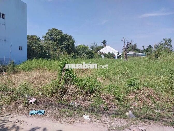 Đất Ngộp bán 172m2 đất Ngay ngã tư An Bình, có thổ,SHR giá 500tr