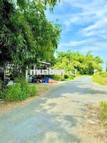 Chủ gửi bán nhanh giá ngộp lô đất 790tr-382m2 tại An Tịnh, Trảng Bàng