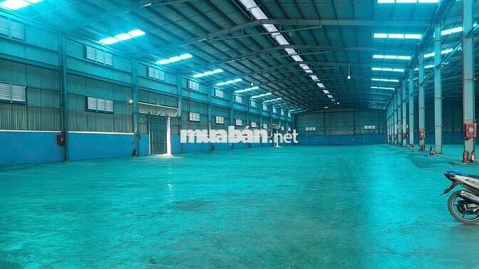 CHO THUÊ KHO XƯỞNG LONG AN – NHẬN NGÀNH HÓA CHẤT, XI MẠ