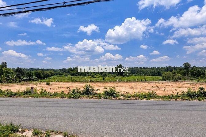 CHÍNH CHỦ CẦN BÁN LÔ ĐẤT VƯỜN GẦN 1000m² – GIÁ CHỈ NHỈNH HƠN 1 TỶ5