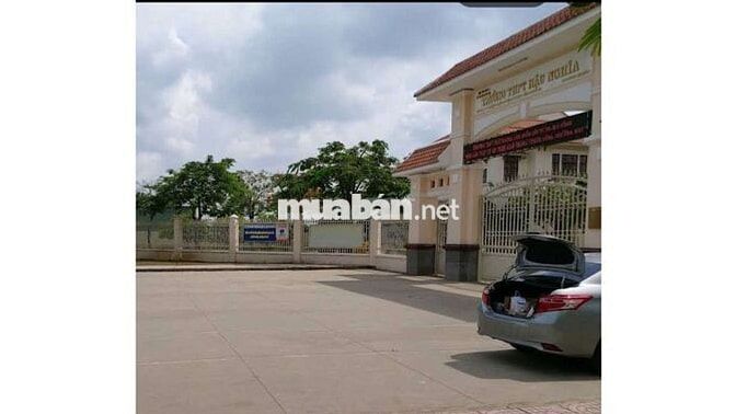 Bán 5,090 m2 đất Thổ + Lúa mặt tiền đường nhựa tại Đức Hòa, Long An