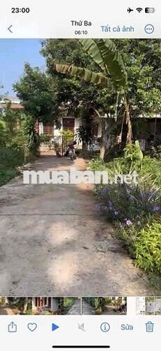 Đất trồng tiêu,cây các loại hoa màu ăn trái, có nhà ở, điện nuớc đủ…