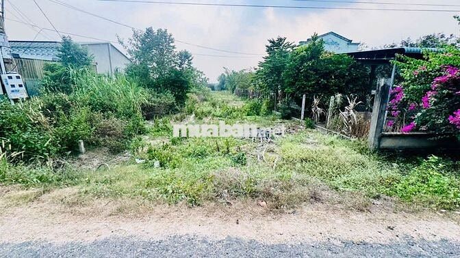 947m2 có 500m2 thổ cư. Đường nhựa. 8m ngang. 1,x tỷ