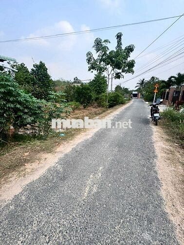947m2 có 500m2 thổ cư. Đường nhựa. 8m ngang. 1,x tỷ
