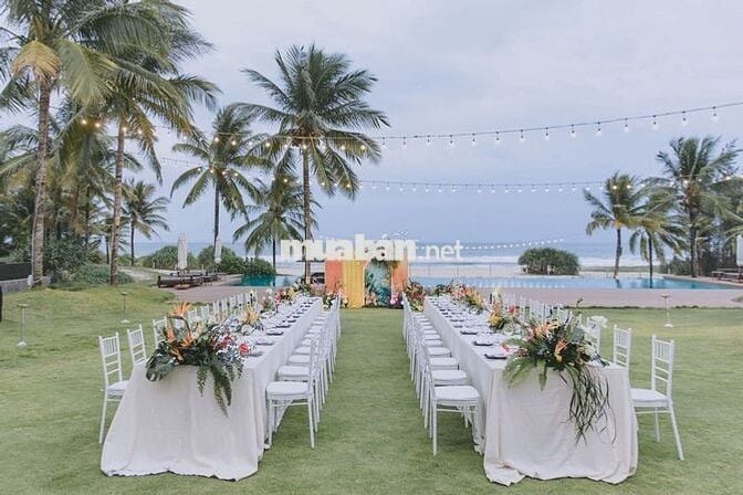 Tuyển dụng 5 nhân viên phục vụ nhà hàng 3-6 tháng
