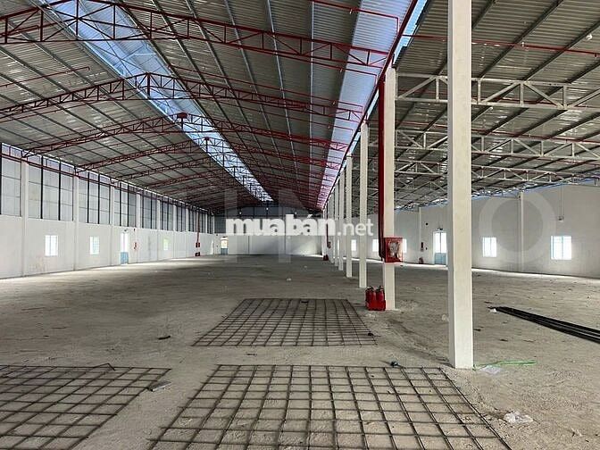 Kho xưởng 2.200 m² đất SKC có PCCC tự động và trạm điện 3 pha, lộ Cont