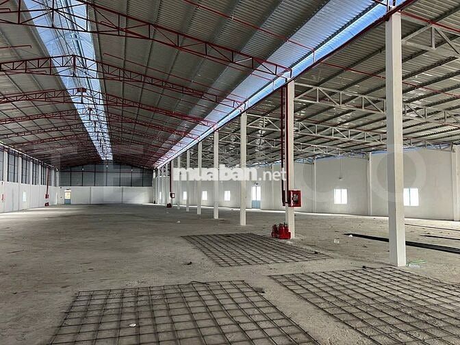 Kho xưởng 2.200 m² đất SKC có PCCC tự động và trạm điện 3 pha, lộ Cont