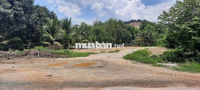 P Tô Châu - Đất sẵn sàng xây dựng