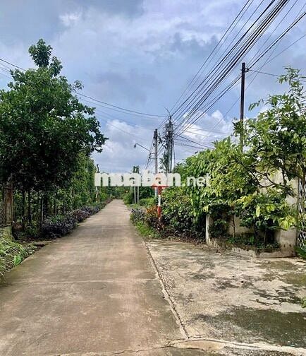 📍 Bán Gấp 500m2 Chơn Thành - Ngay Sau Becamex