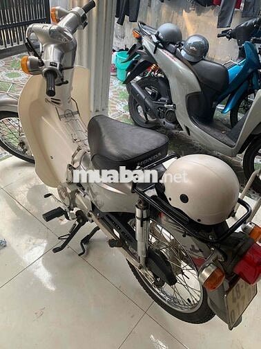 Cub bạc trắng